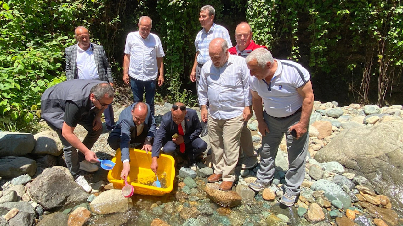 Trabzon'da binlerce alabalık yavrusu Küçükdere Vadisi'ne bırakıldı