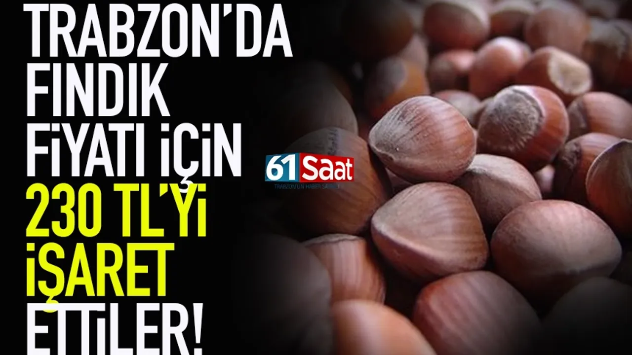 Trabzon'da fındık fiyatı için 230 TL'yi işaret etiler..
