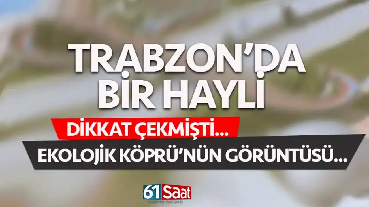 Bir hayli dikkat çekmişti! İşte ekolojik köprünün görüntüsü...