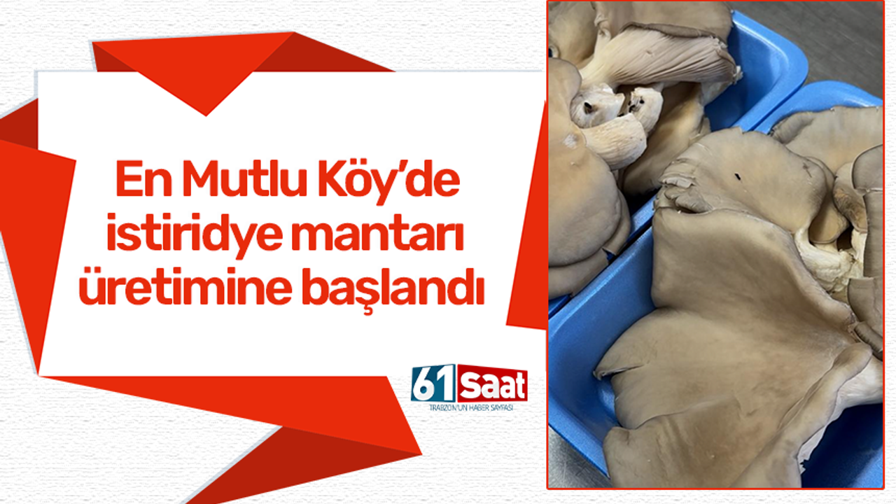 En Mutlu Köy’de istiridye mantarı üretimine başlandı