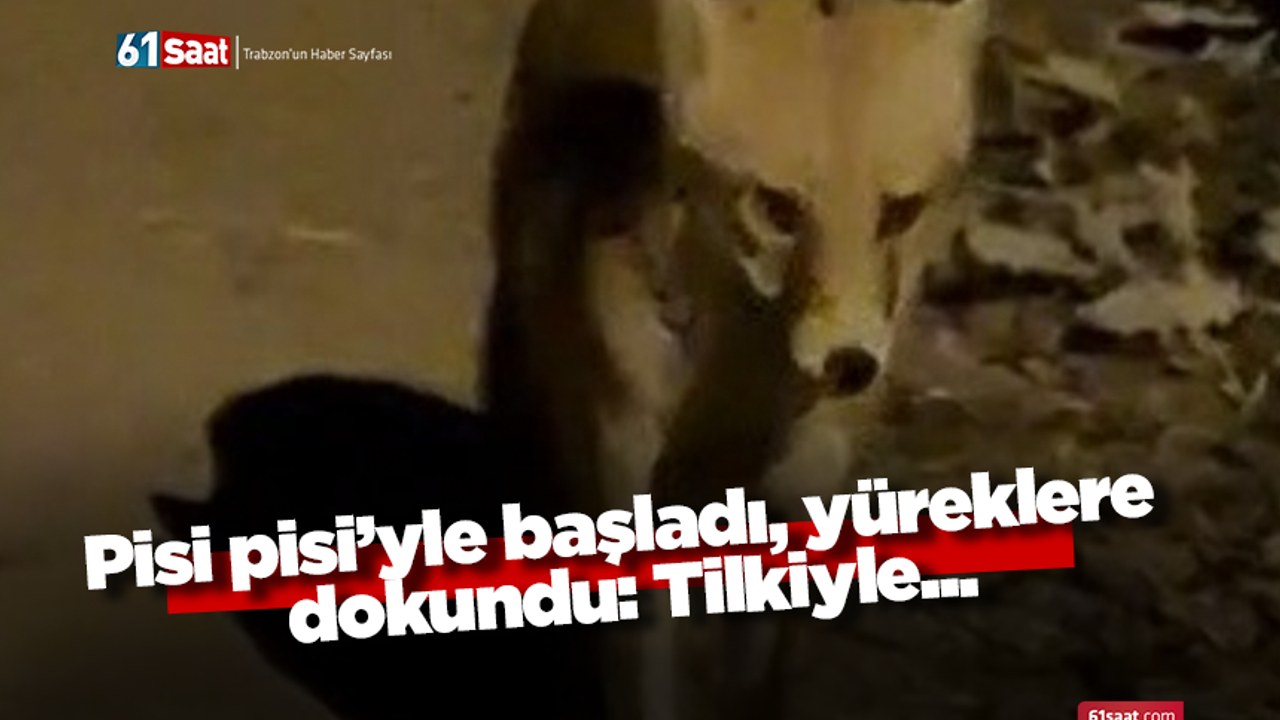 Pisi pisi’yle başladı, yüreklere dokundu: Tilkiyle...