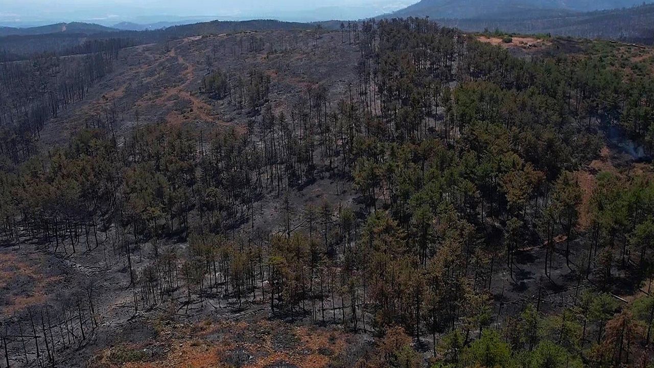 Bursa’da havai fişek atanlara ders gibi ceza!