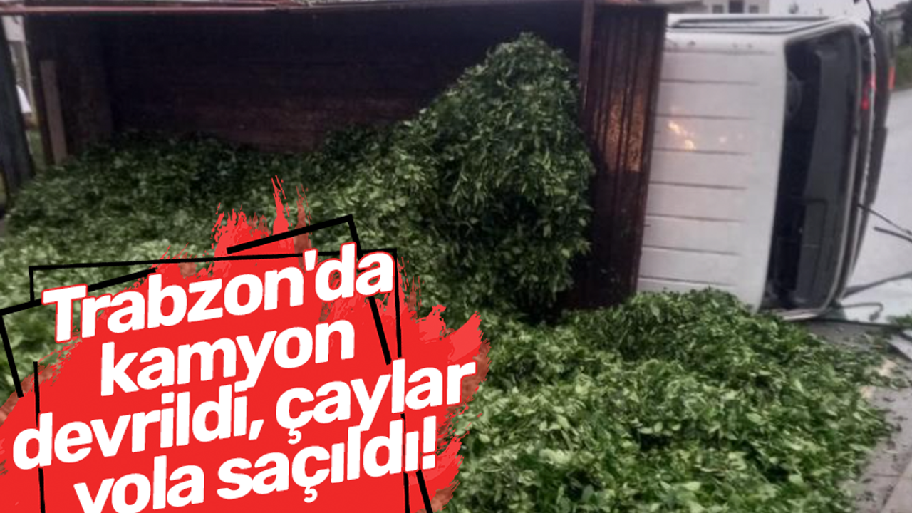 Trabzon'da kamyon devrildi, çaylar yola saçıldı!