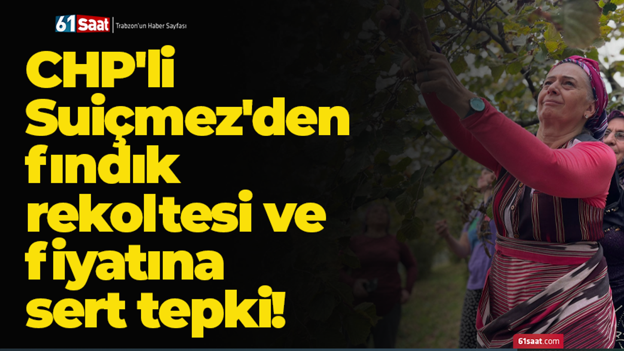 CHP'li Suiçmez'den fındık rekoltesi ve fiyatına sert tepki!