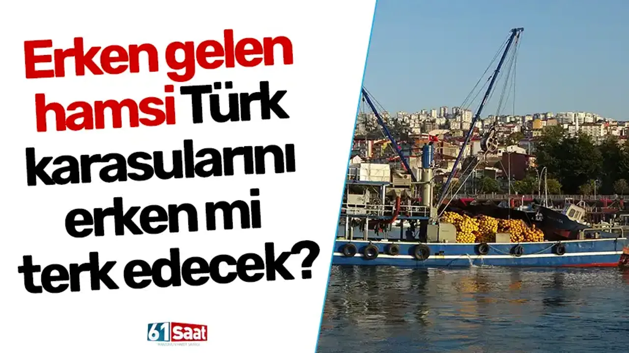 Erken gelen hamsi Türk karasularını erken mi terk edecek?