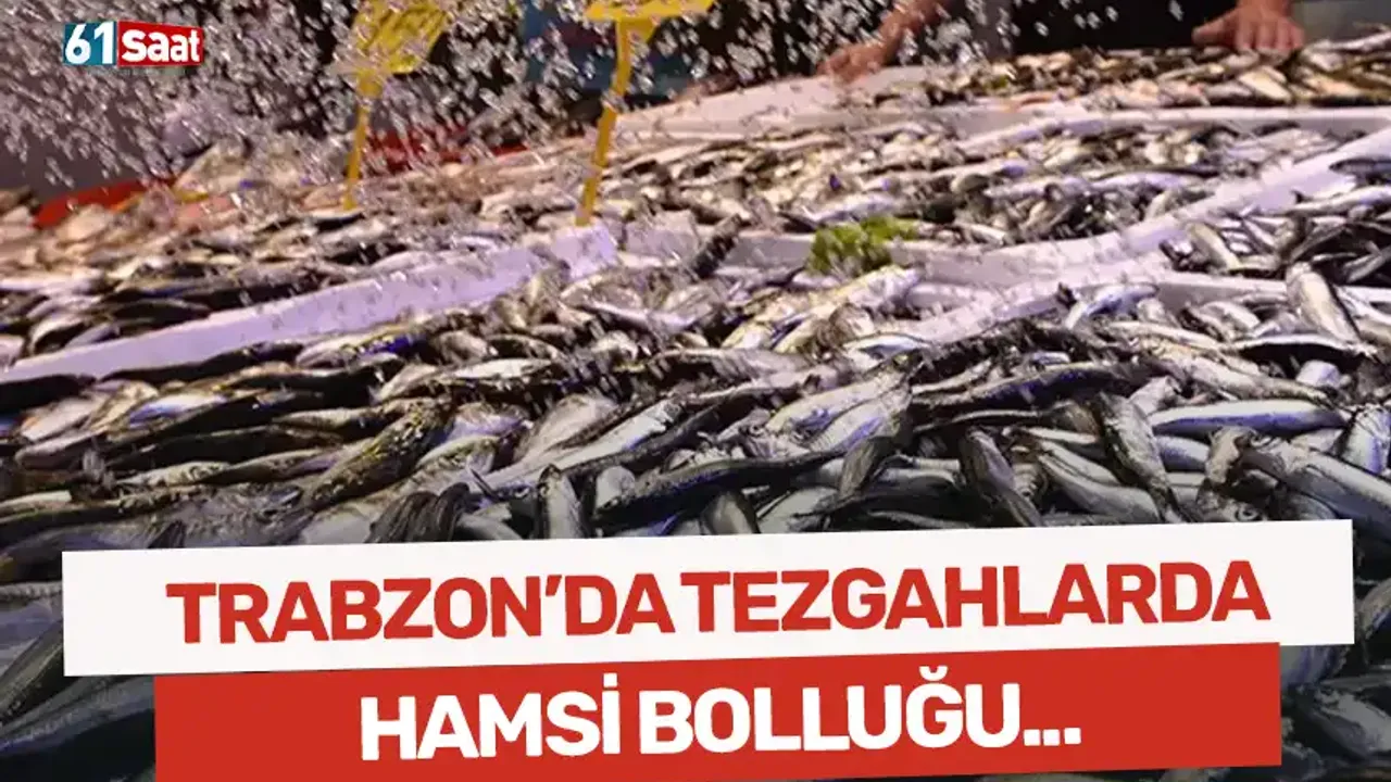 Trabzon'da hamsi bolluğu yaşanıyor!