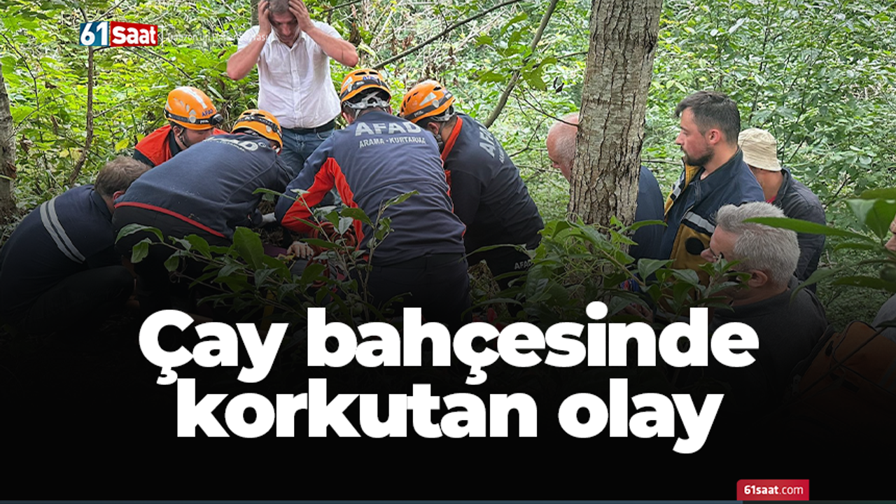 Rize'de çay bahçesinde korkutan olay