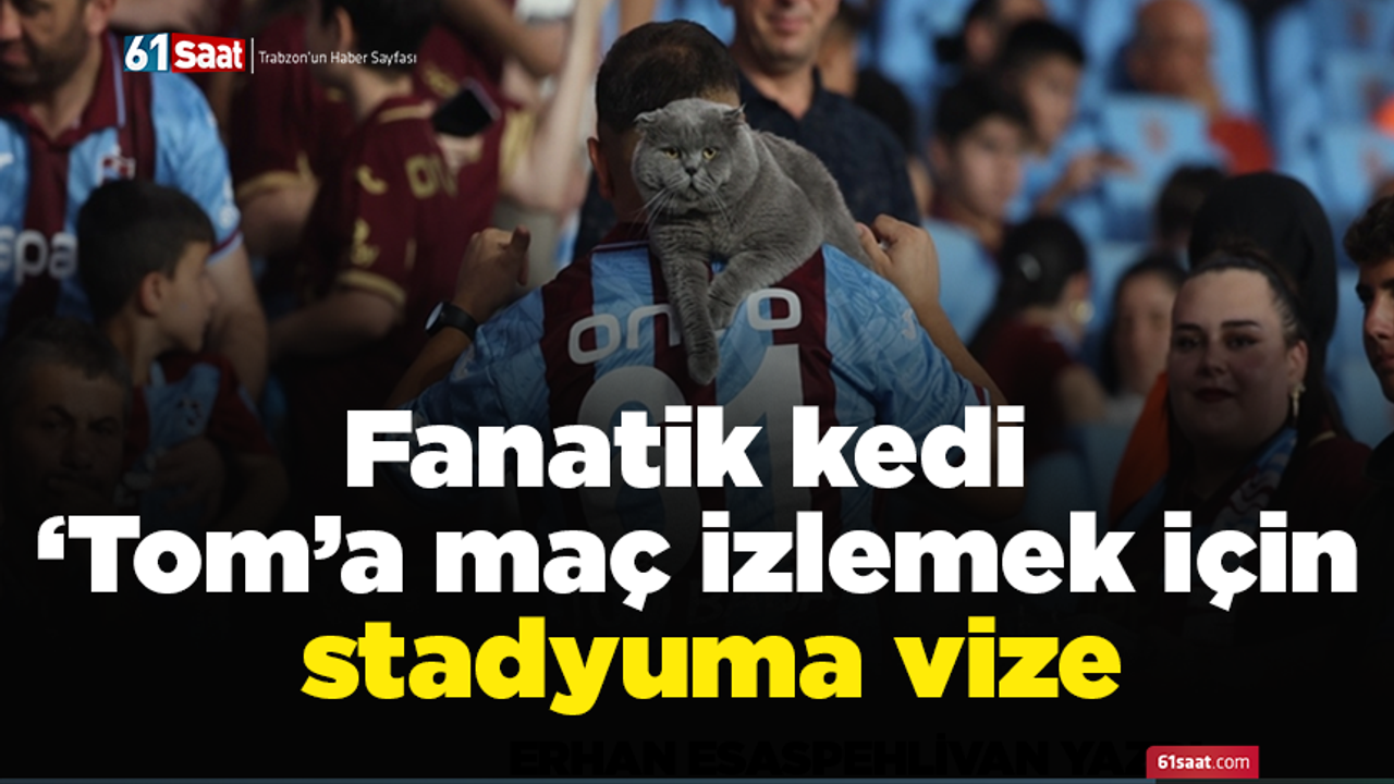 Fanatik kedi ‘Tom’a maç izlemek için stadyuma vize
