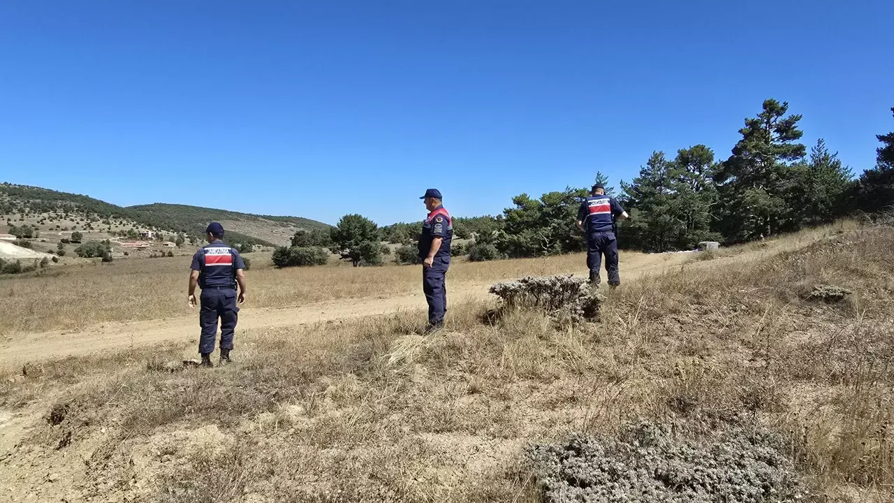 Jandarma koruyor: Bu bitkiyi toplamanın cezası 557 bin TL