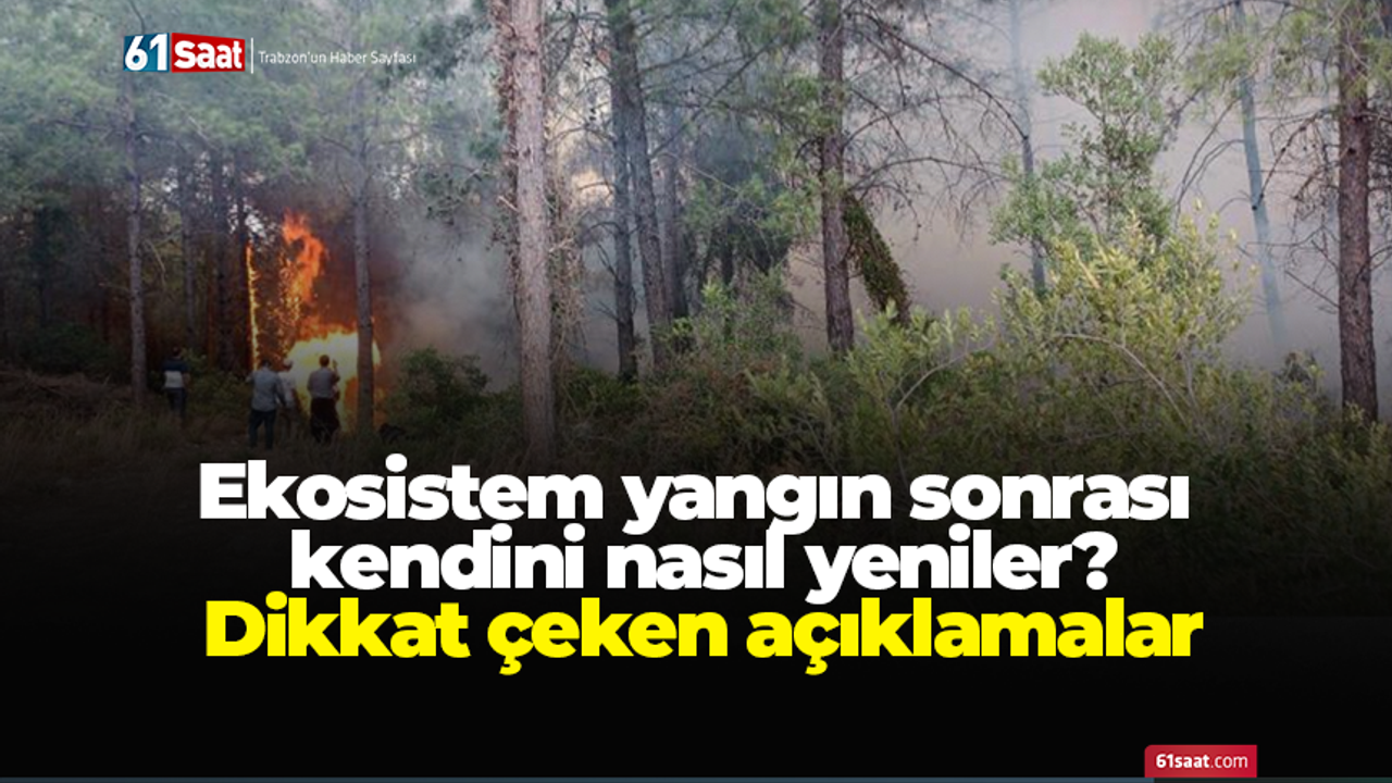 Ekosistem yangın sonrası kendini nasıl yeniler? Dikkat çeken açıklamalar