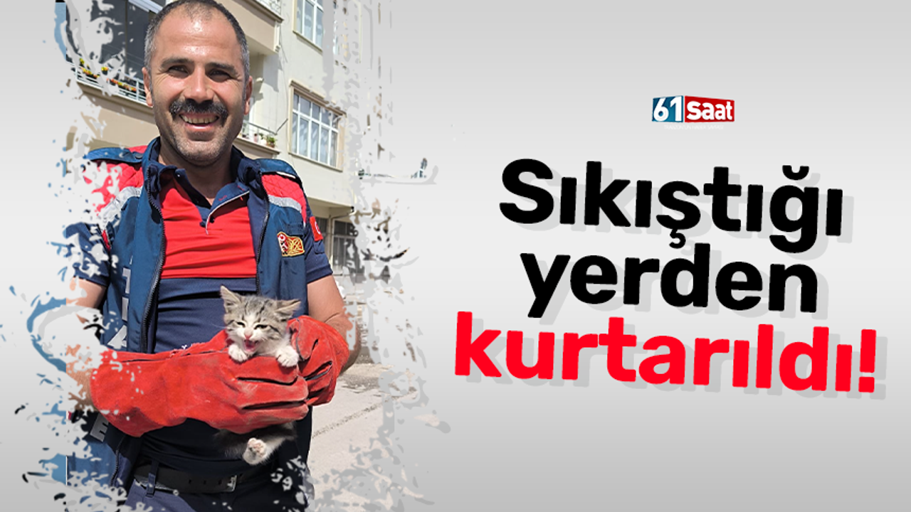 Sıkıştığı yerden kurtarıldı!