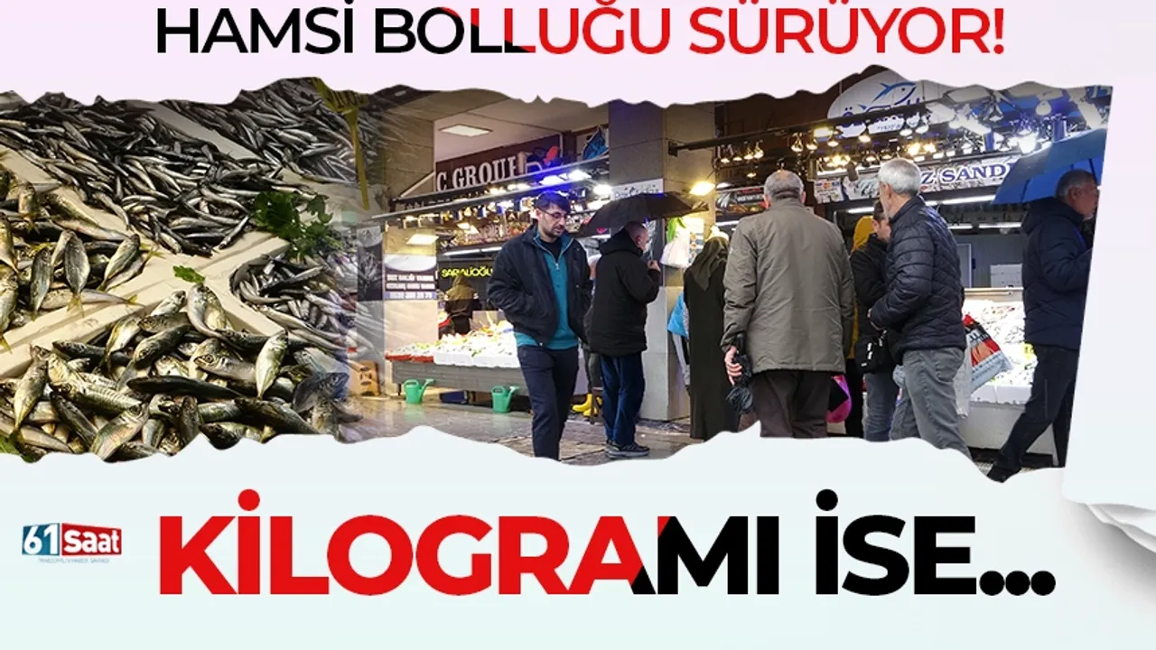 Karadeniz’de hamsi bolluğu sürüyor, kilogramı ise...