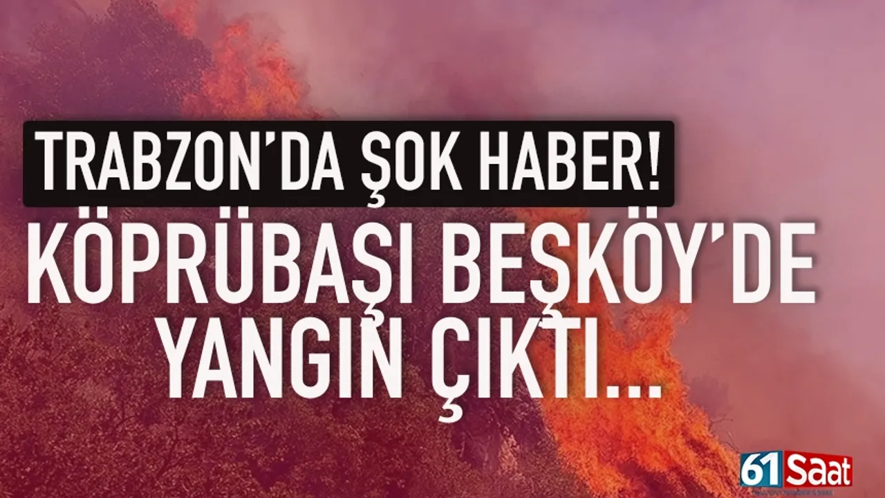 Trabzon Köprübaşı Beşköy'de ormanlık alanda yangın...