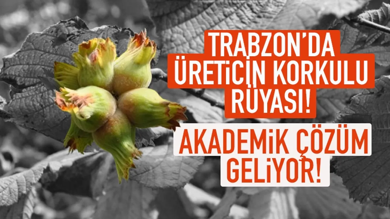 Trabzon'da üreticilerin korkulu rüyası! Akademik çözüm geliyor...