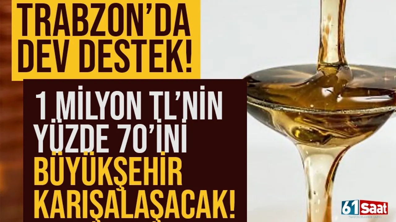 Trabzon'da dev destek! 1 milyon TL'ye mal oluyor, yüzde 70'ini büyükşehir karşılayacak!