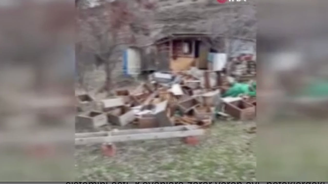 Ayıya elektrikli tuzak bile engel olamadı!