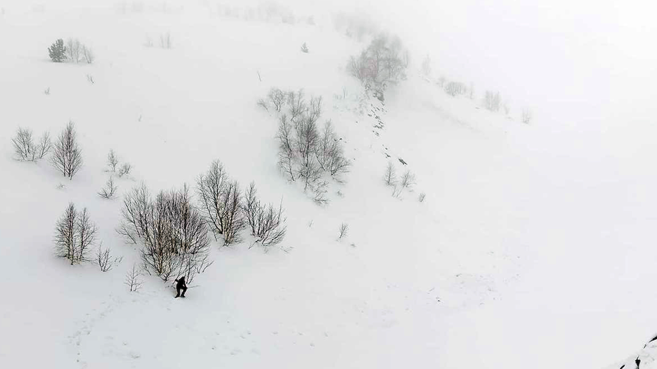 Artvin'de çığ bölgesinde gözlemsel etüt ve kar rasatı çalışması yapıldı