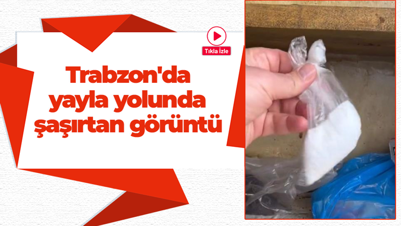 Trabzon'da yayla yolunda şaşırtan görüntü