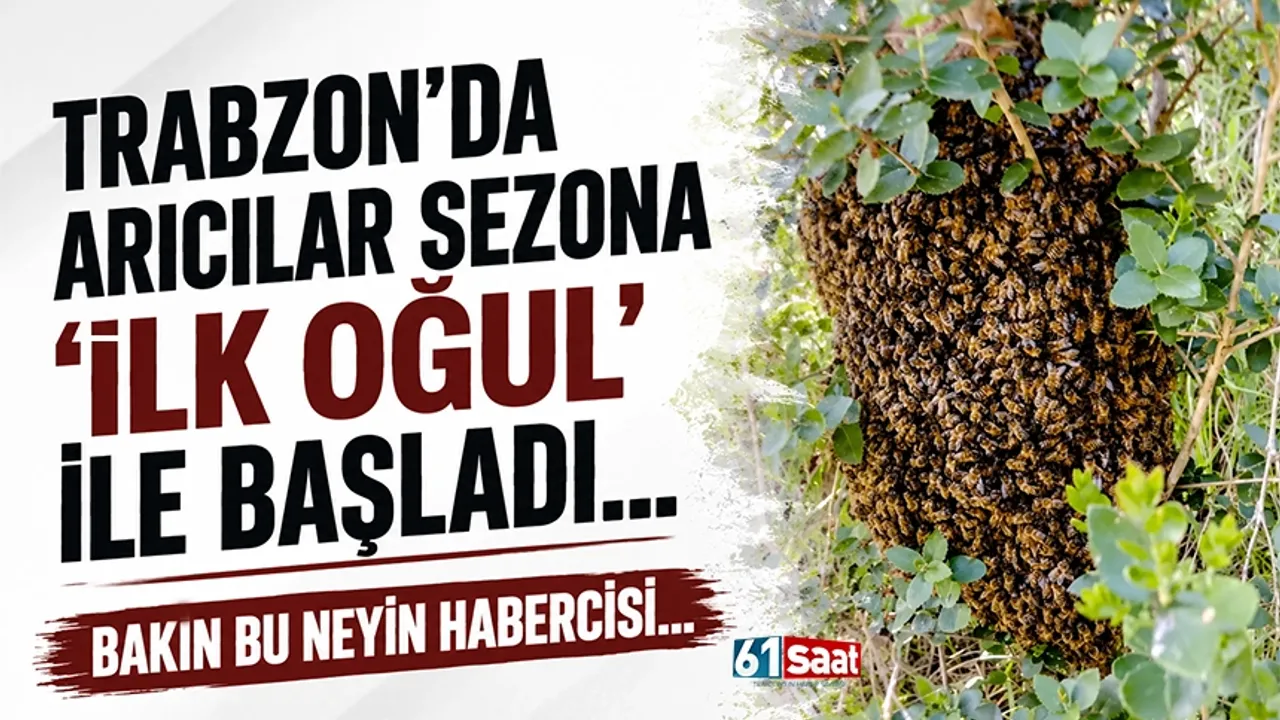 Trabzon'da arıcılar sezona “İlk Oğul” ile Başladı