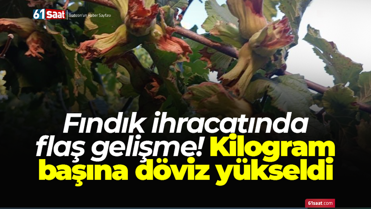 Fındık ihracatında flaş gelişme! Kilogram başına döviz yükseldi