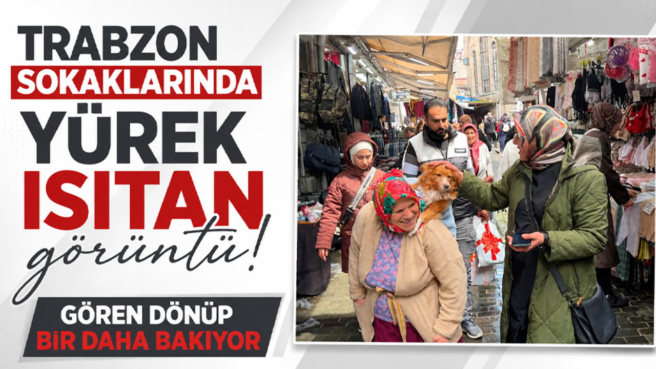 Trabzon sokaklarında yürek ısıtan görüntü! Gören dönüp bir daha bakıyor