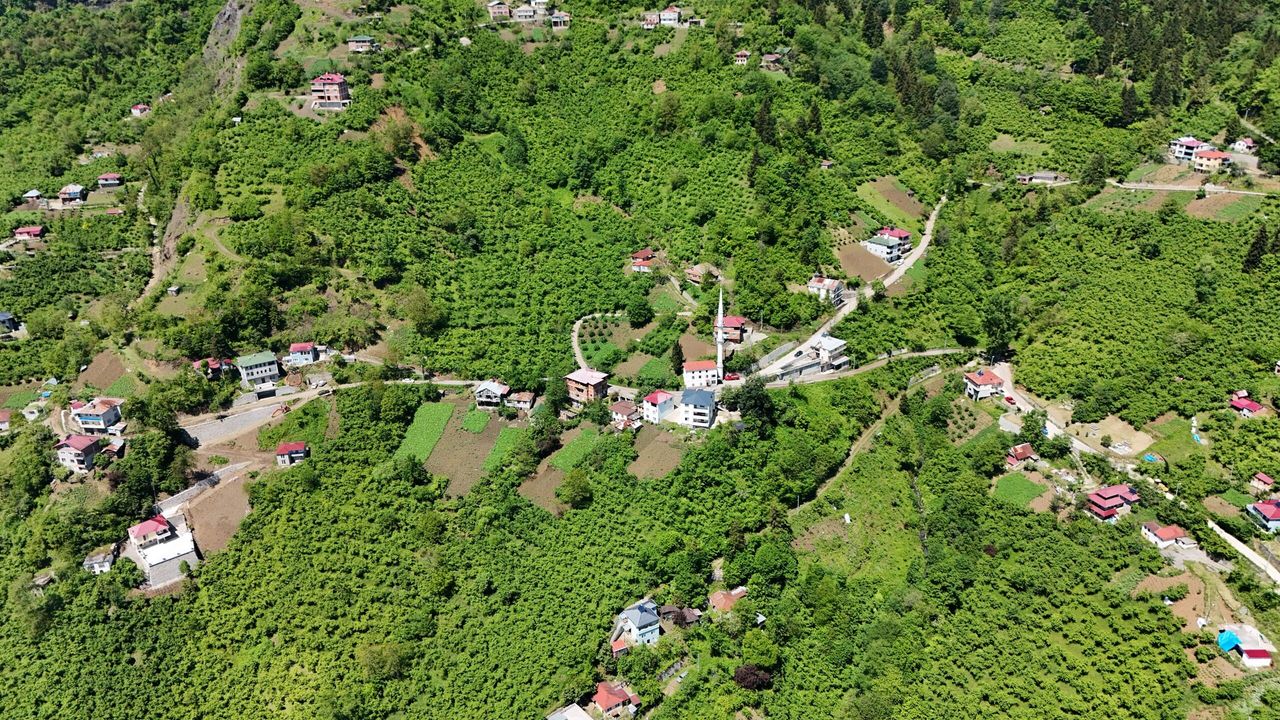 Trabzon Büyükşehir'den Maçka'ya içme suyu hamlesi