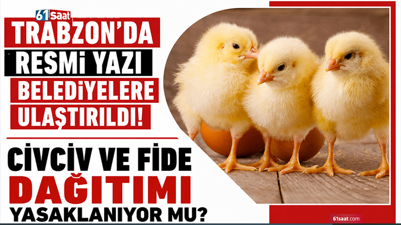 Trabzon’da resmi yazı belediyelere ulaştırıldı! Civciv ve fi