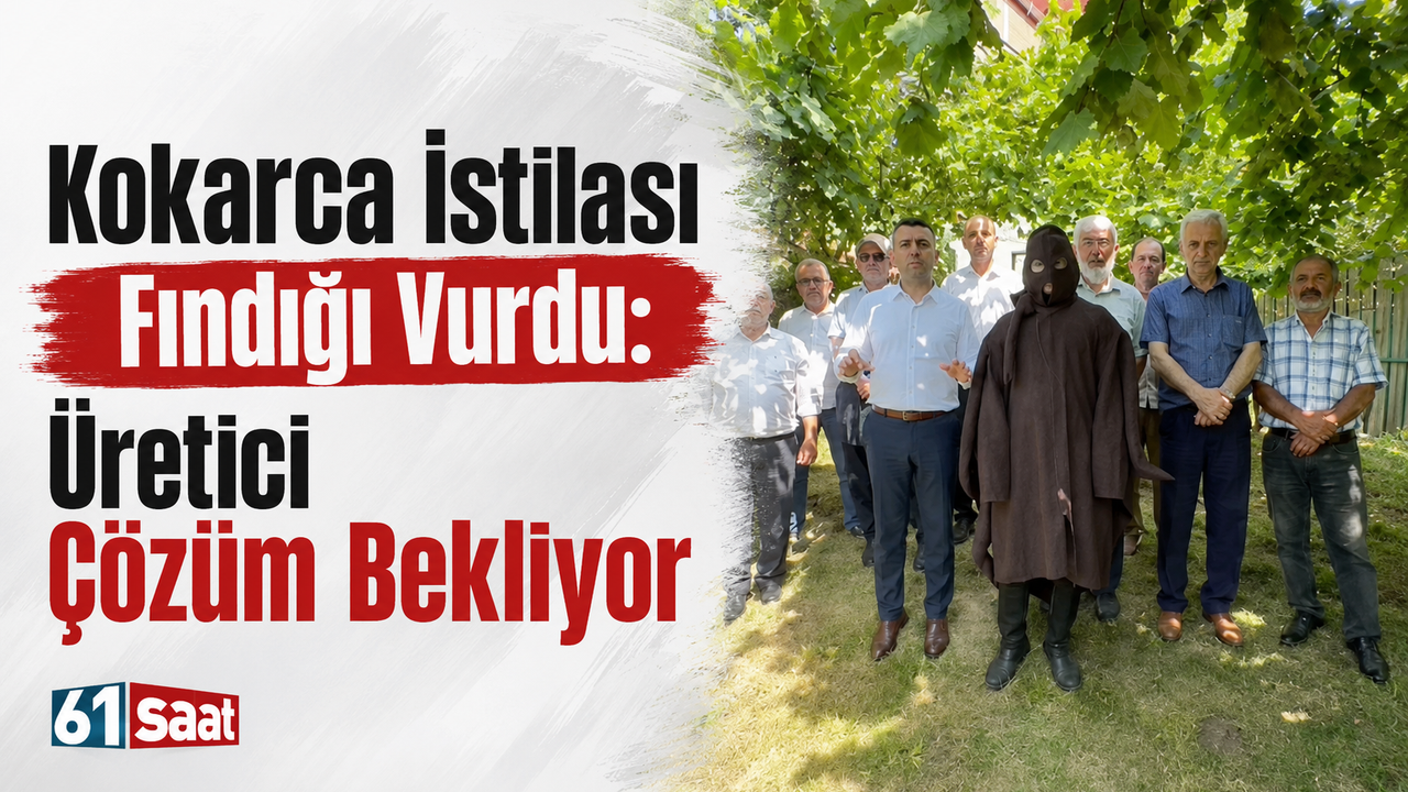 Kokarca istilası fındığı vurdu: üretici çözüm bekliyor