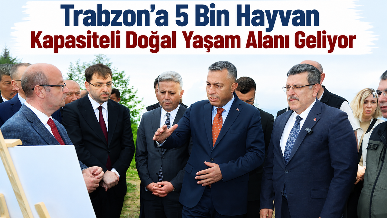 Trabzon’a 5 bin hayvan kapasiteli doğal yaşam alanı geliyor