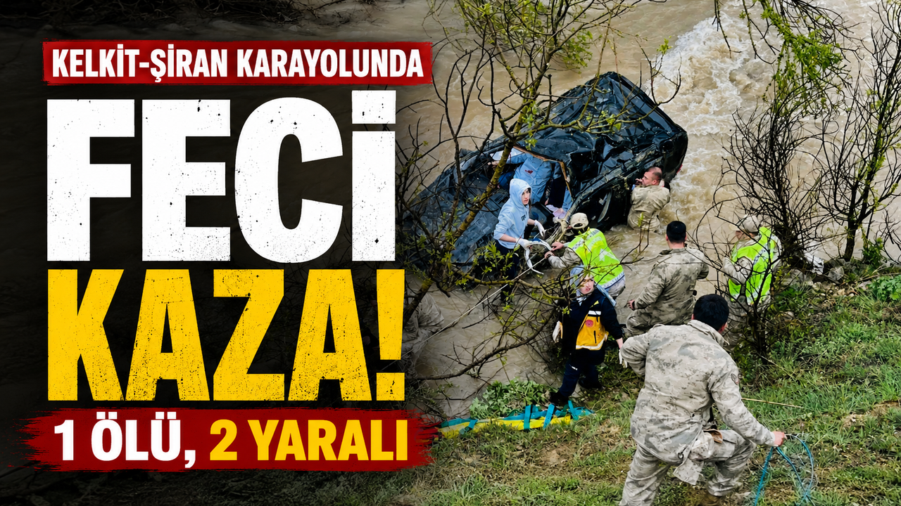 Kelkit-Şiran Karayolunda Feci Kaza: 1 Ölü, 2 Yaralı.