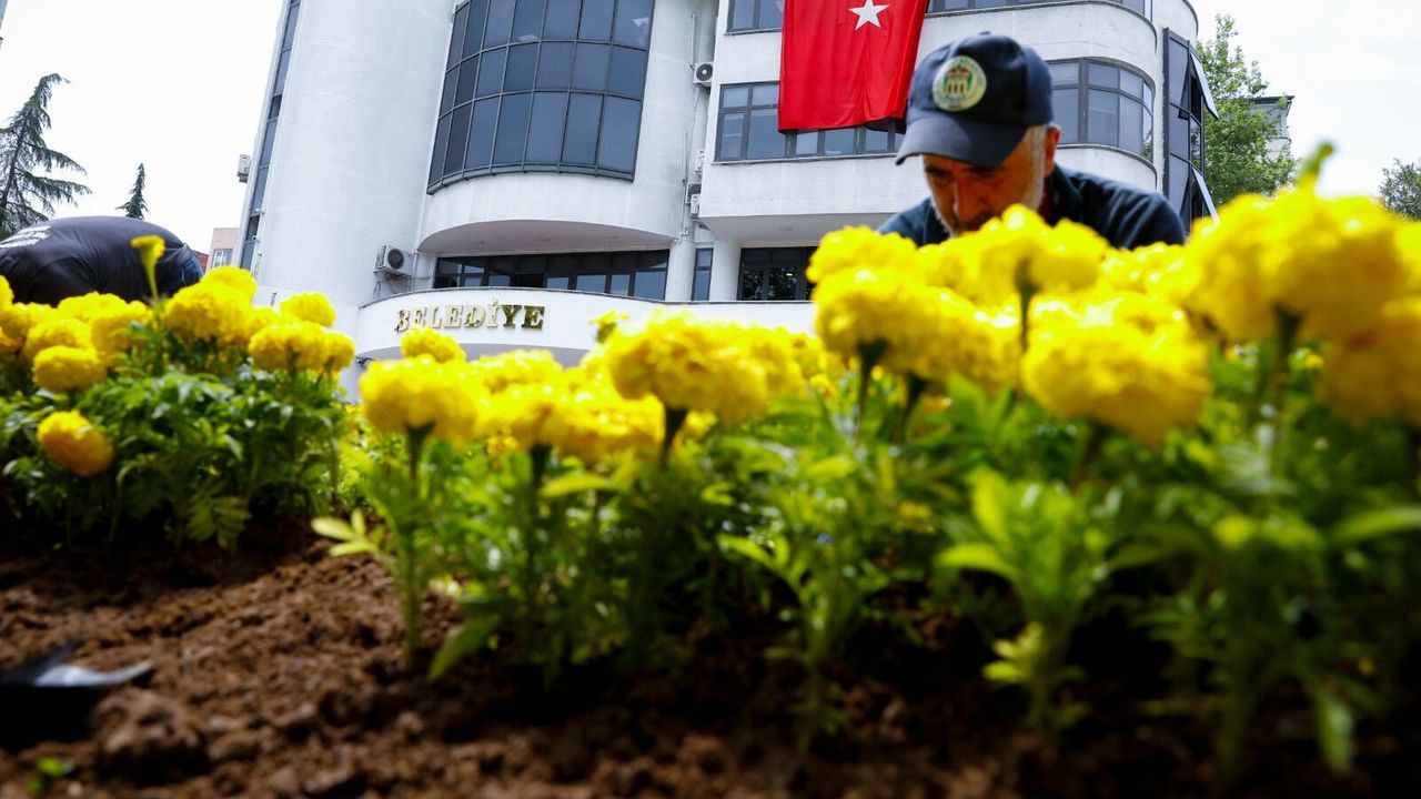 Akçaabat'ın renkleri belediyenin seralarında yetişiyor