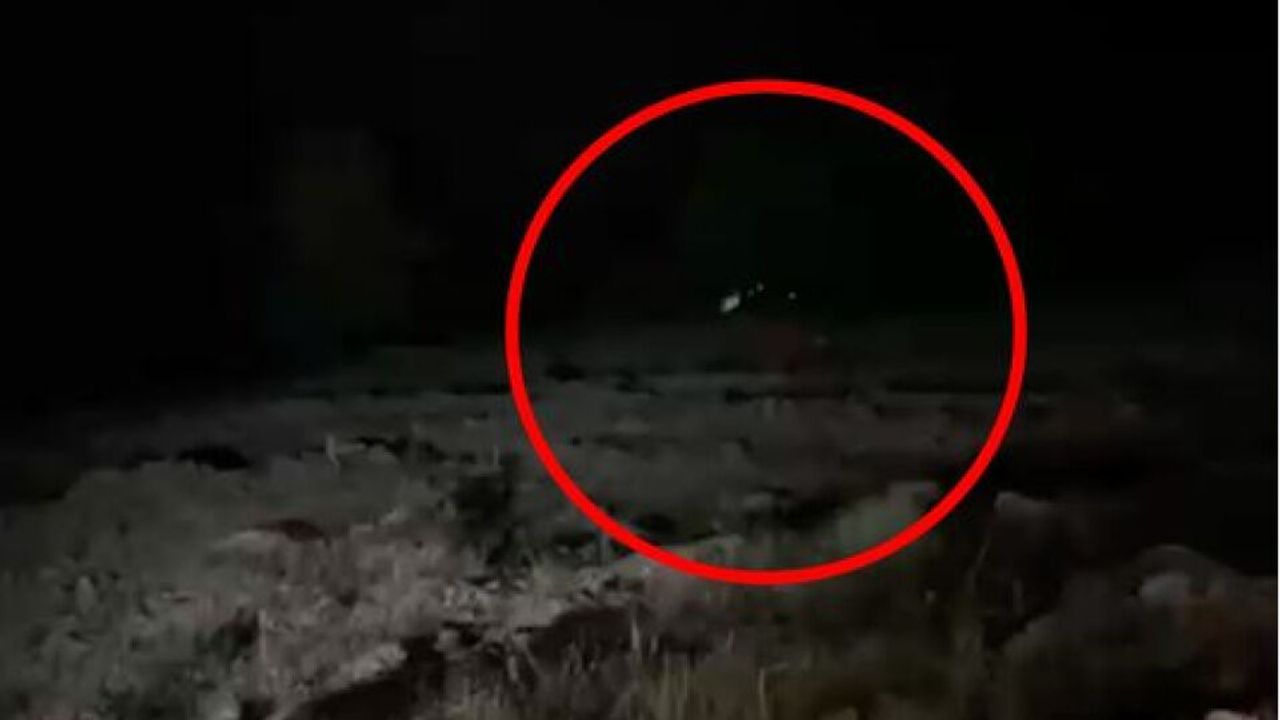 Hafif ticari araç uçuruma yuvarlandı! 4 ölü, 5 yaralı