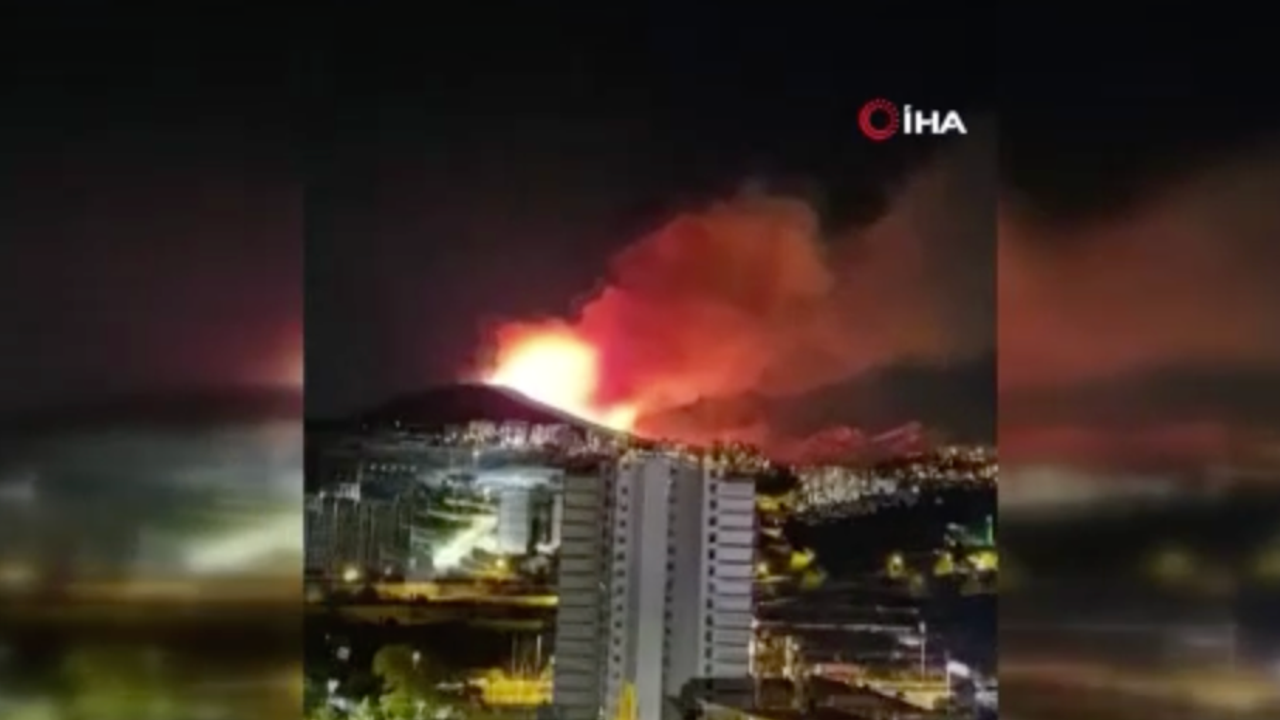 Ağaçlık alanda çıkan yangın söndürüldü