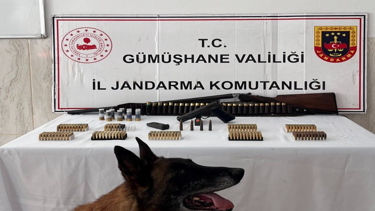 Gümüşhane’de eve operasyon! Ruhsatsız silah ve yüzlerce fişek ele geçirildi