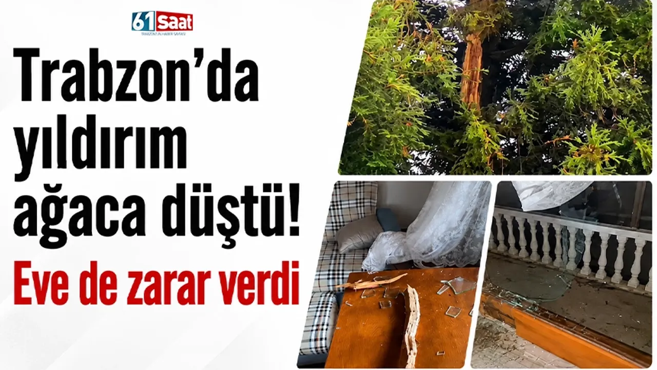 Trabzon’da yıldırım ağaca düştü! Eve de zarar verdi