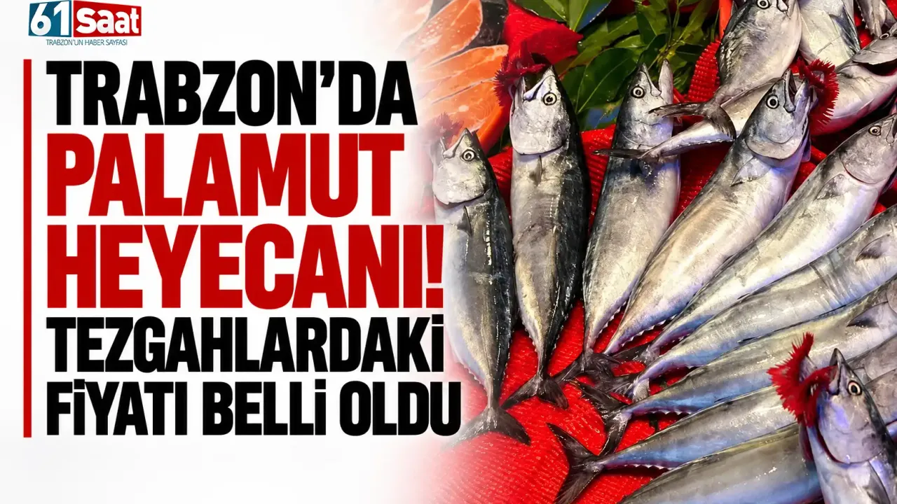 Trabzon’da palamut heyecanı! Tezgahlardaki fiyatı belli oldu