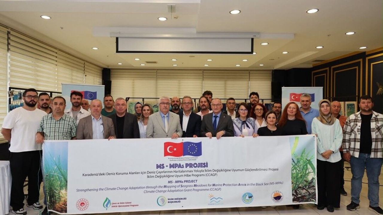 Karadeniz’in deniz çayırları haritalandı