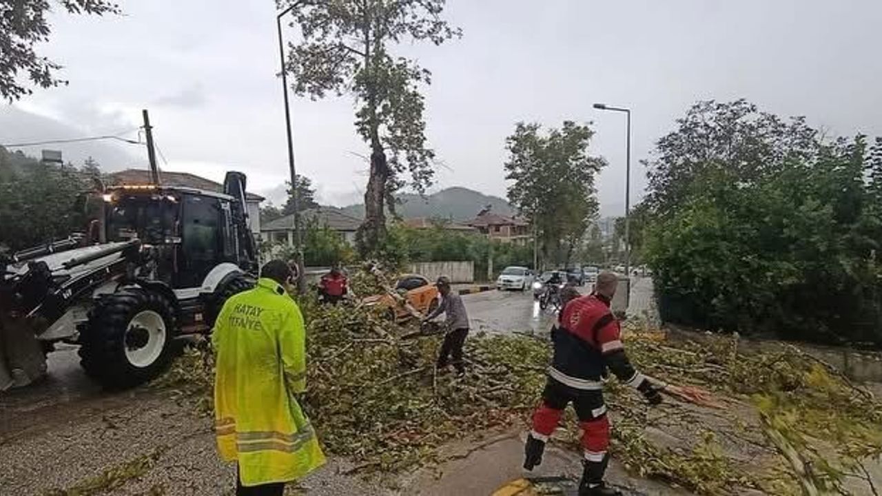 Aracın üzerine ağaç devrildi