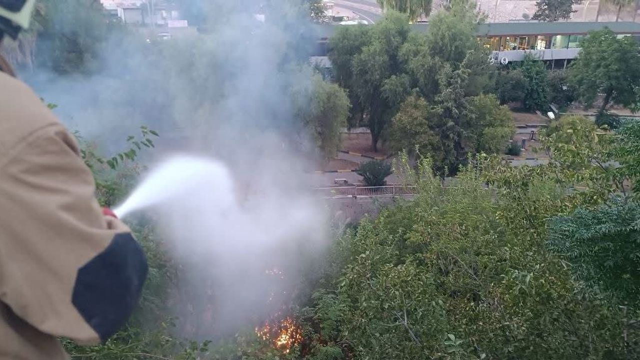 Bahçe yangını büyümeden söndürüldü
