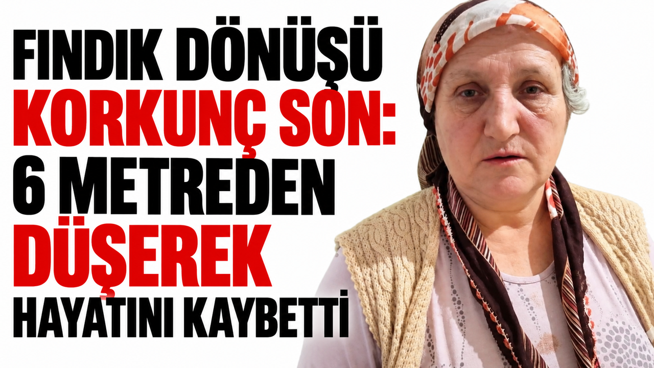 Fındık dönüşü korkunç son: 6 metreden düşerek hayatını kaybetti