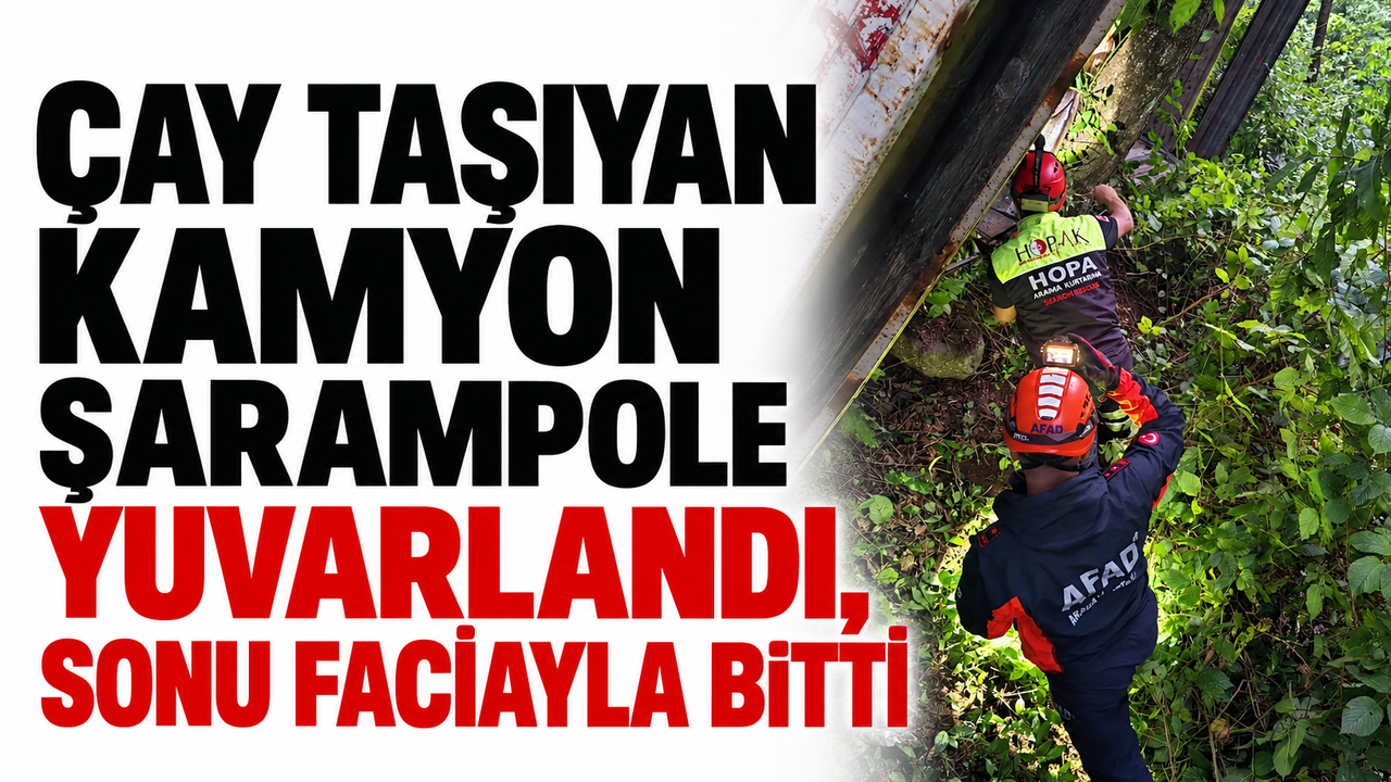 Çay taşıyan kamyon şarampole yuvarlandı, sonu faciayla bitti