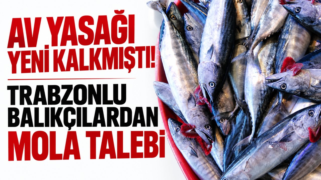 Av yasağı yeni kalkmıştı! Trabzonlu balıkçılardan mola talebi