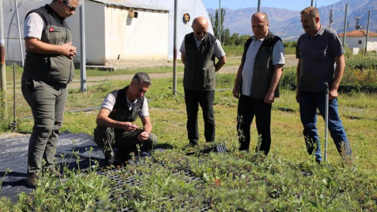 Erzincan Fidanlık Şefliğinde 2026 yılı üretim çalışmaları incelendi