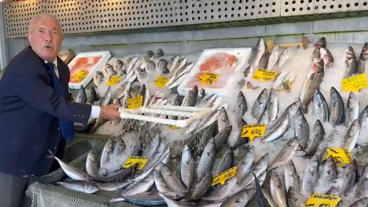 Balık sezonu bereketli başladı: Hamsi 200, palamut 100 liradan başlıyor