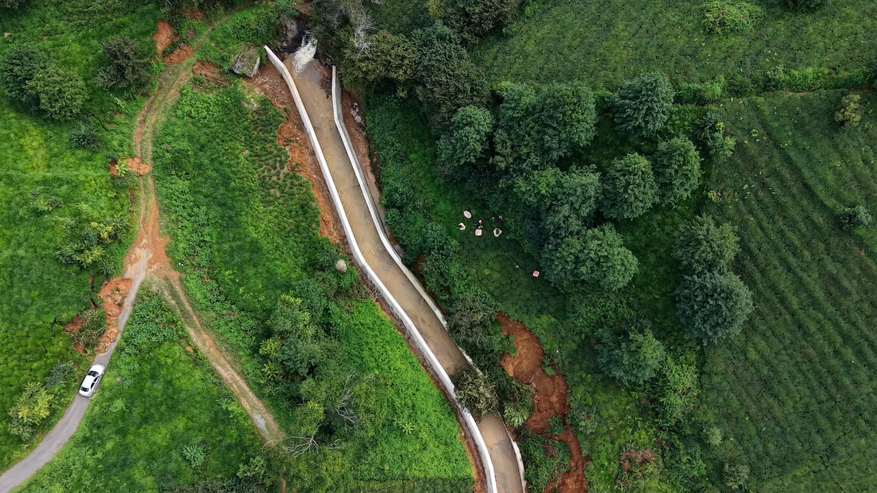 Rize'de heyelanlı bölgede çay hasadı