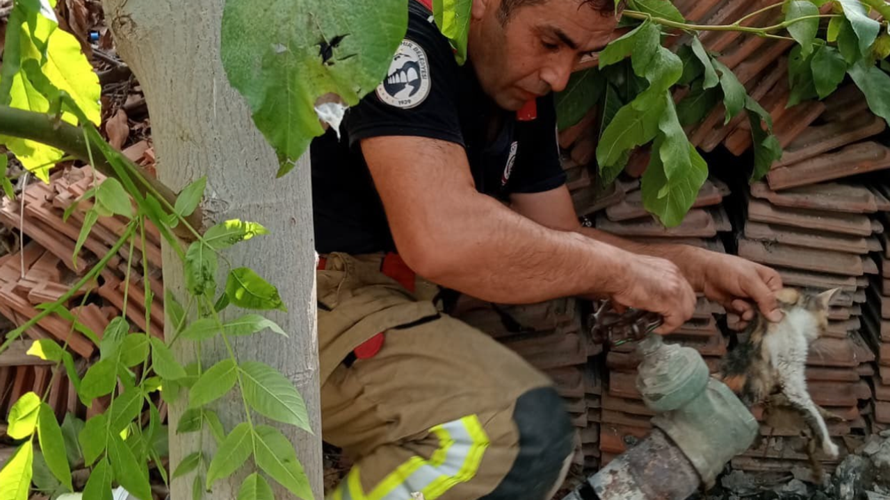 Sanayiye götürüldü, hayata tutundu