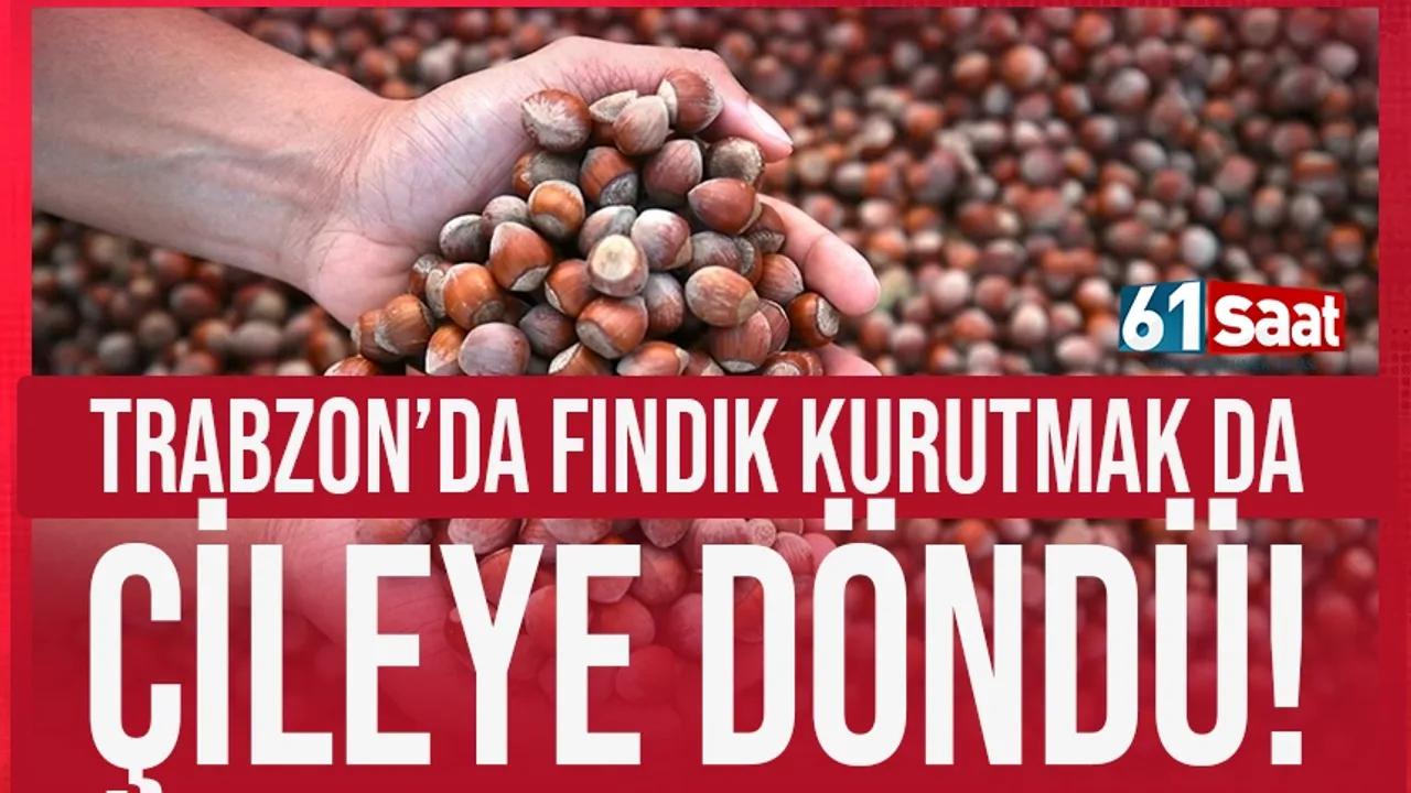 Trabzon’da fındık kurutmak çileye döndü!