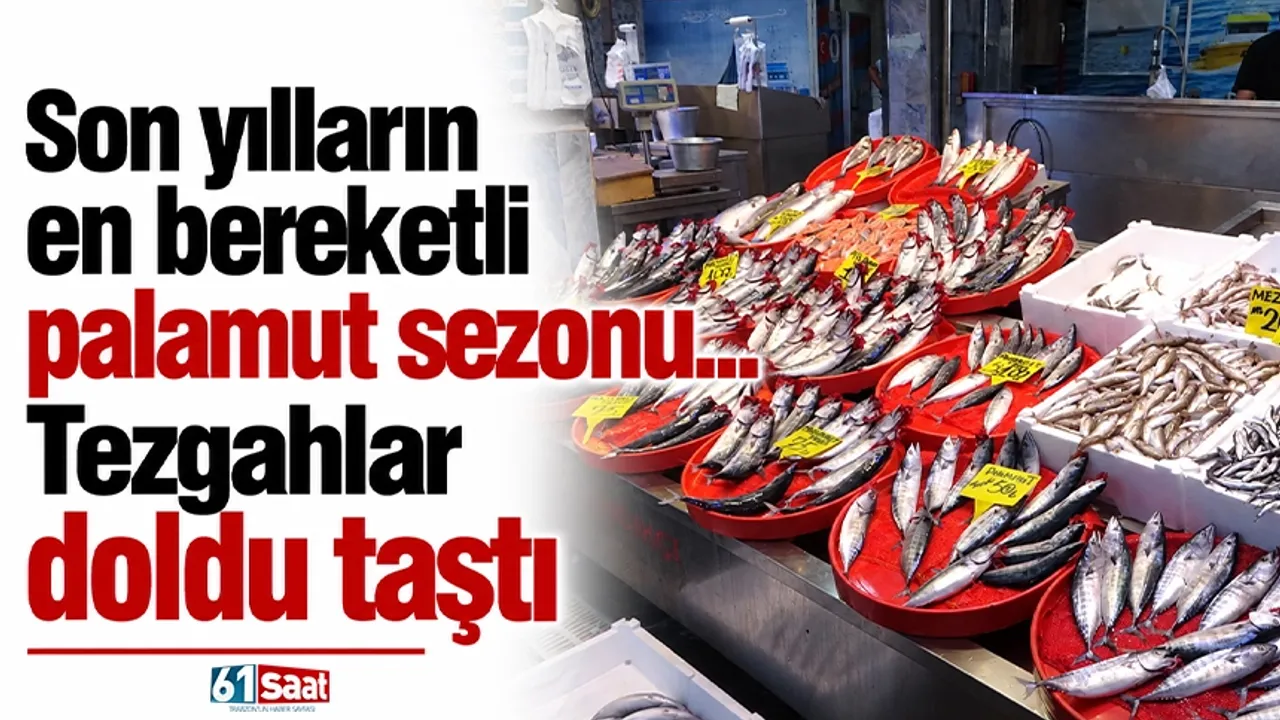 Son yılların en bereketli palamut sezonu... Tezgahlar doldu taştı