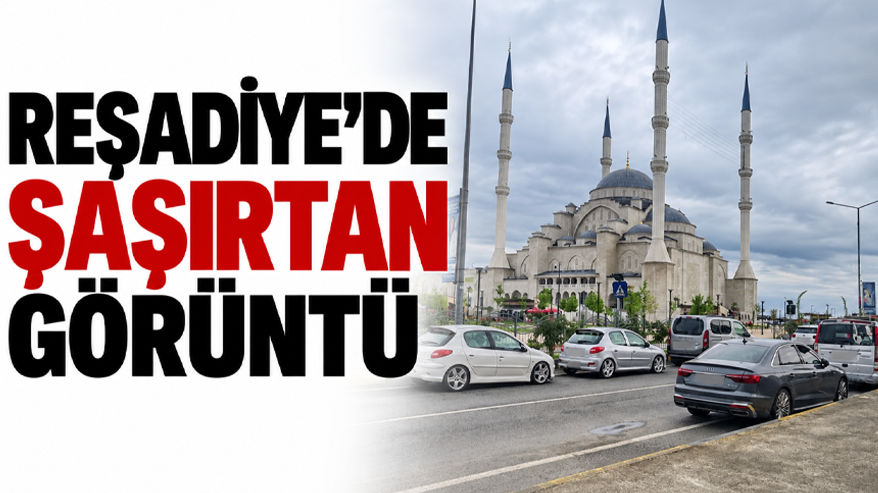 Reşadiye’de şaşırtan görüntü