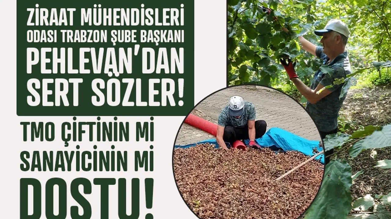 TMO Çiftçinin Dostu Mu, Sanayicinin Mi? Trabzon'dan sert sözler